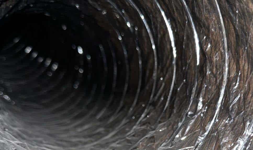 contact about dryer vent cleaning nj air duct cleaning nj dryer vent cleaning in east windsor air duct cleaning in east windsor contact about dryer vent cleaning nj air duct cleaning nj dryer vent cleaning in east windsor air duct cleaning in east windsor
